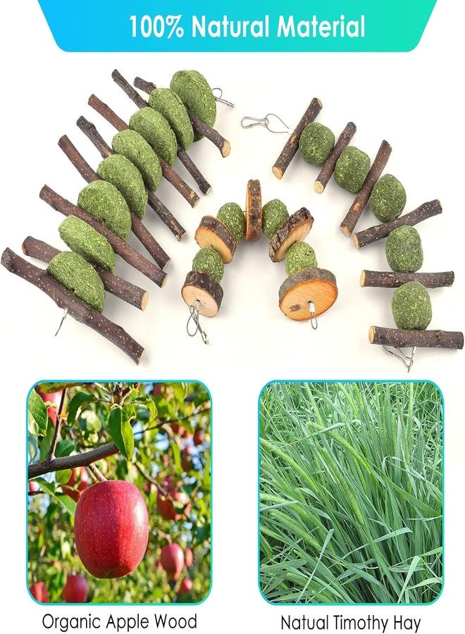 ERKOON Bunny Chew Toys, Rabbit Chew Toys for Teeth Grinding, Improve Dental Health, 100% Natural Apple Wood Timothy Grass Cake Treats for Rabbits Guinea Pigs Chinchillas Bunnies Hamsters (7 Pcs) - Image 3